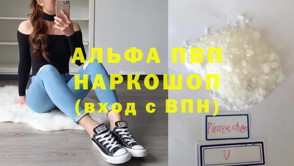 apvp Алзамай
