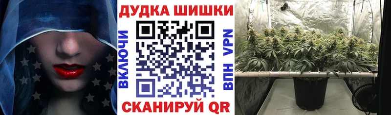 сайты даркнета телеграм  Бирюсинск  Марихуана сатива 